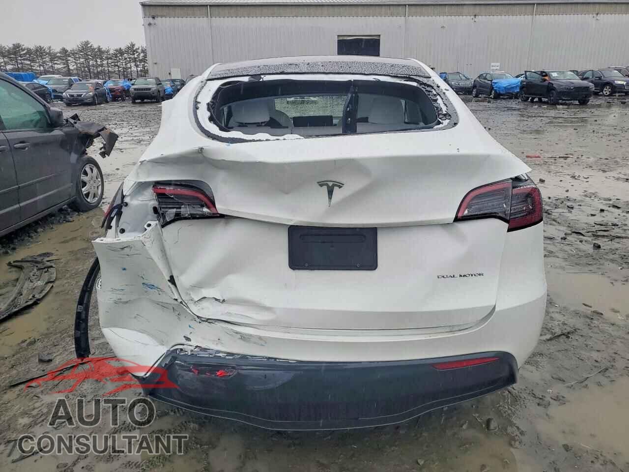 TESLA MODEL Y 2024 - 7SAYGAEE3RF064236