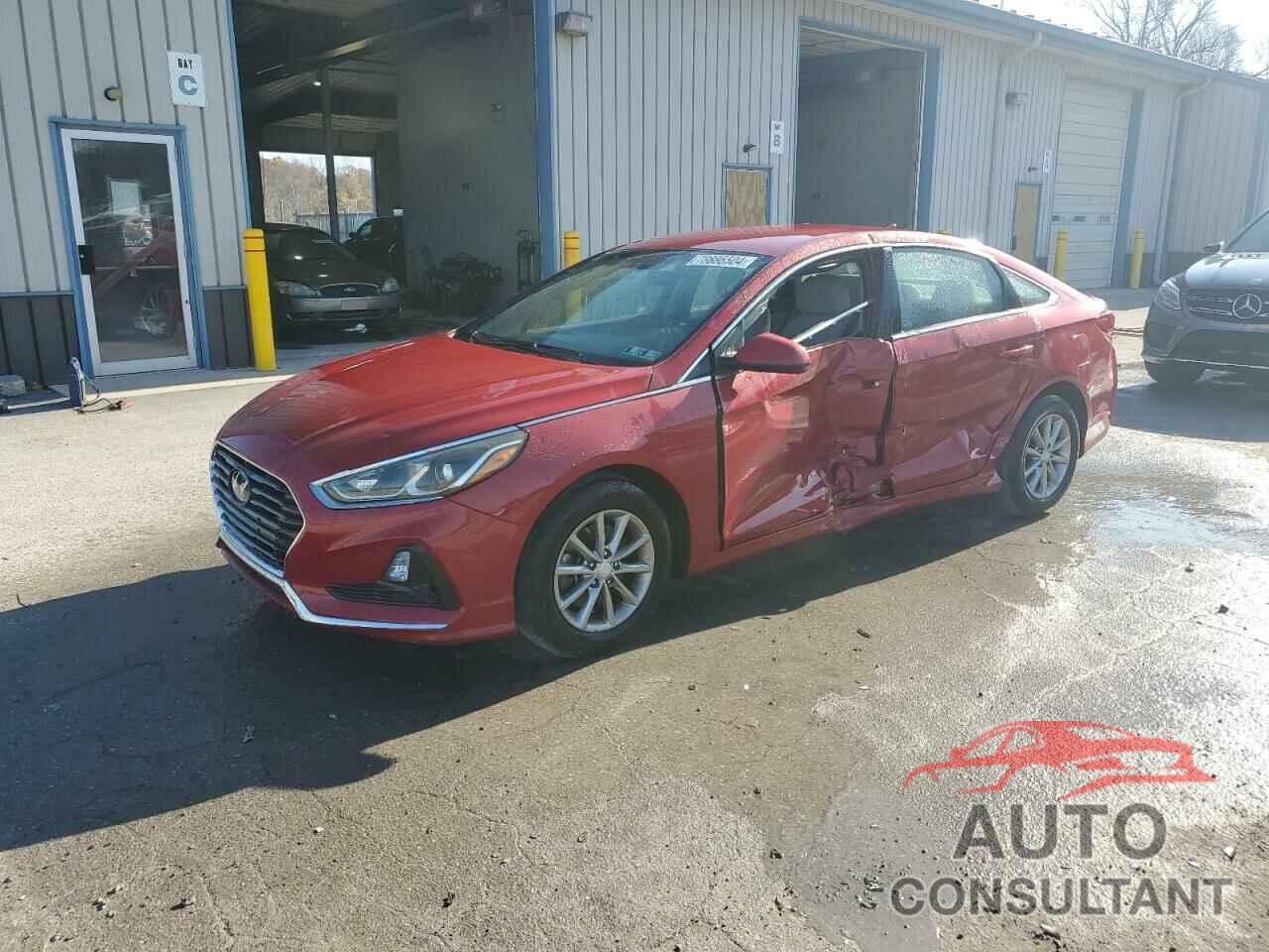 HYUNDAI SONATA 2019 - 5NPE24AF0KH744388
