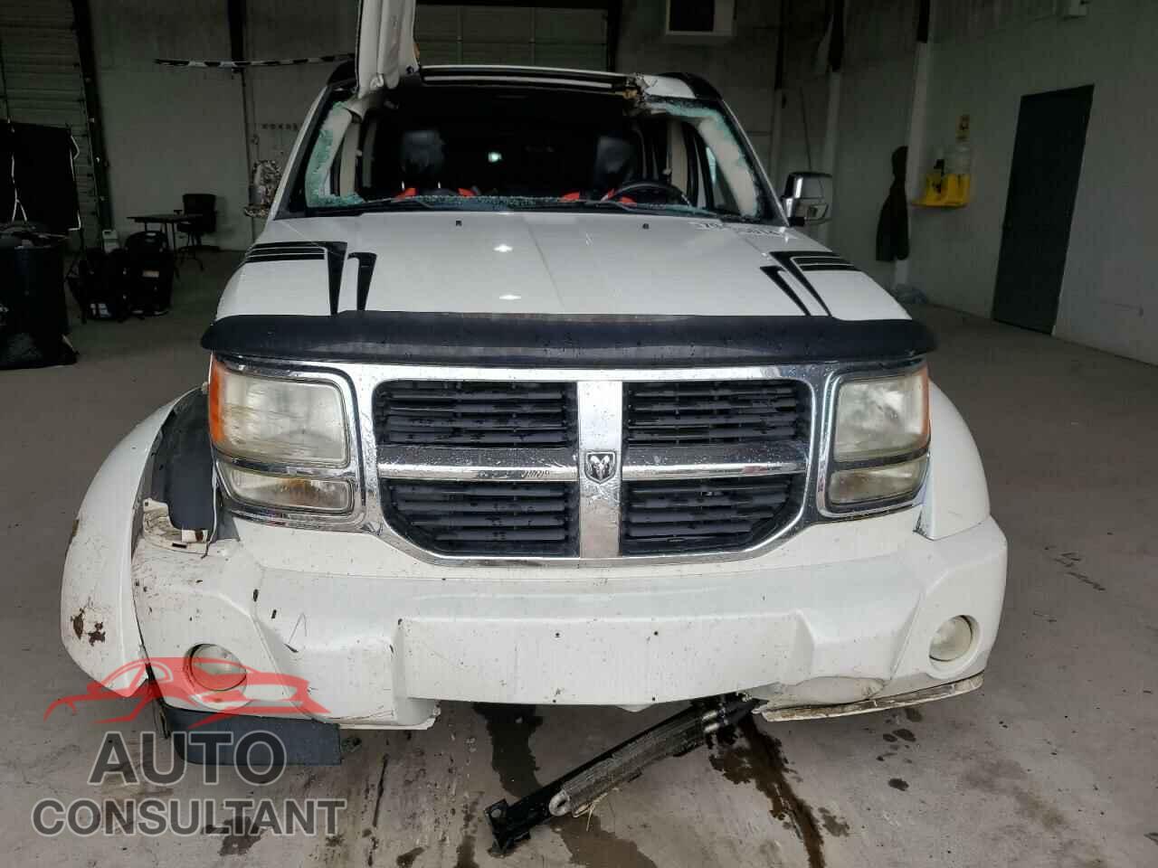 DODGE NITRO 2009 - 1D8GU28K29W537808