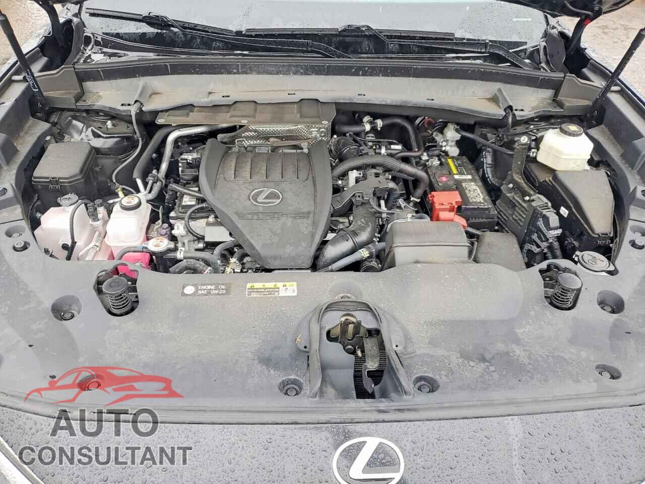 LEXUS UNKNOWN 2024 - 5TDAAAB67RS016389