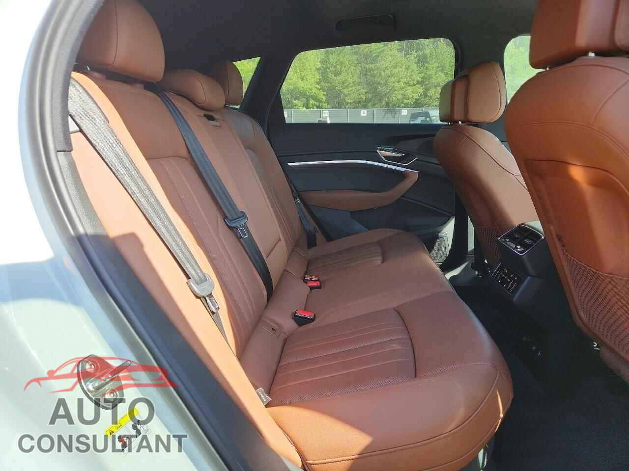 AUDI E-TRON 2019 - WA1LABGE6KB011996