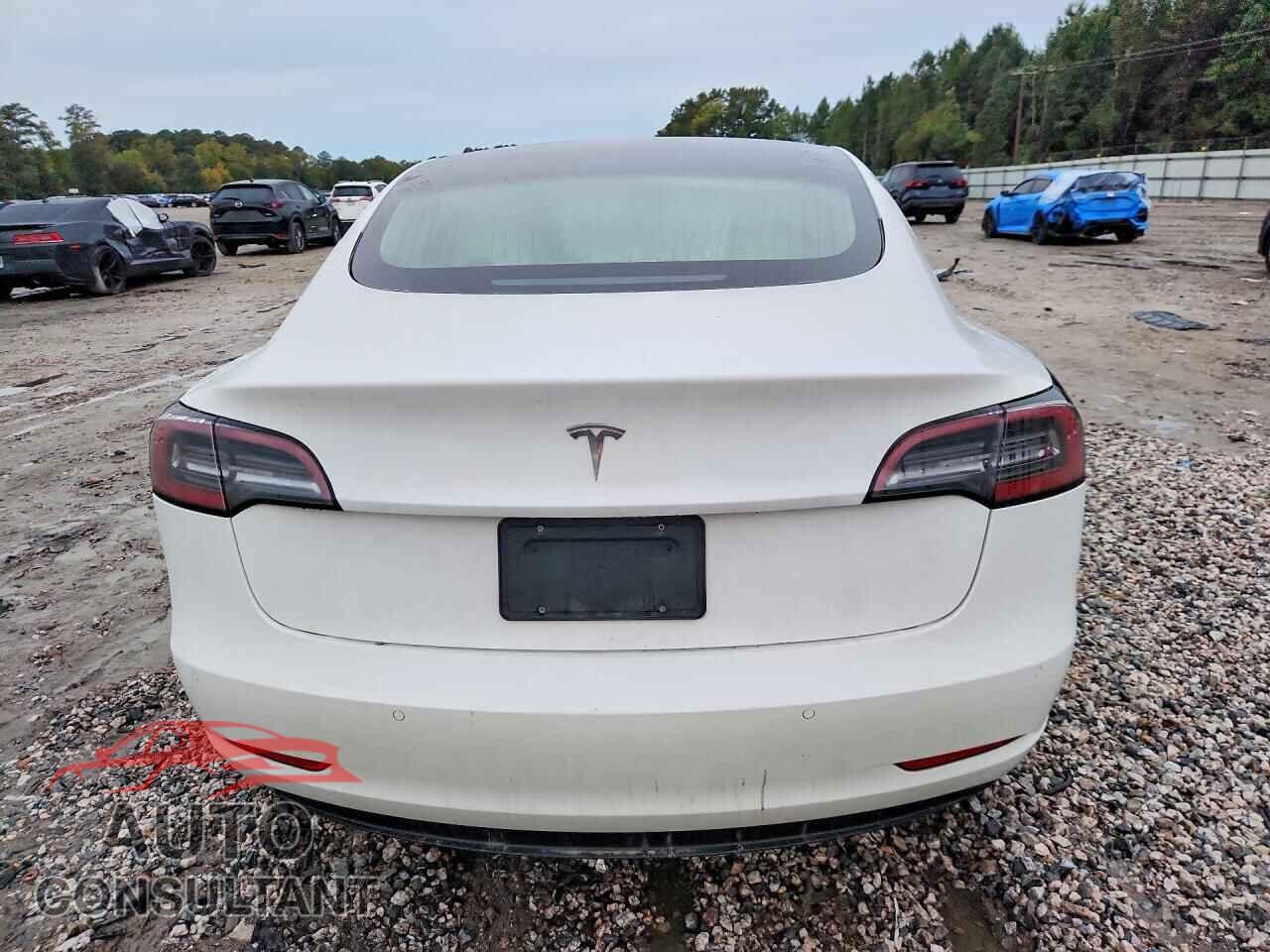 TESLA MODEL 3 2019 - 5YJ3E1EA8KF302713