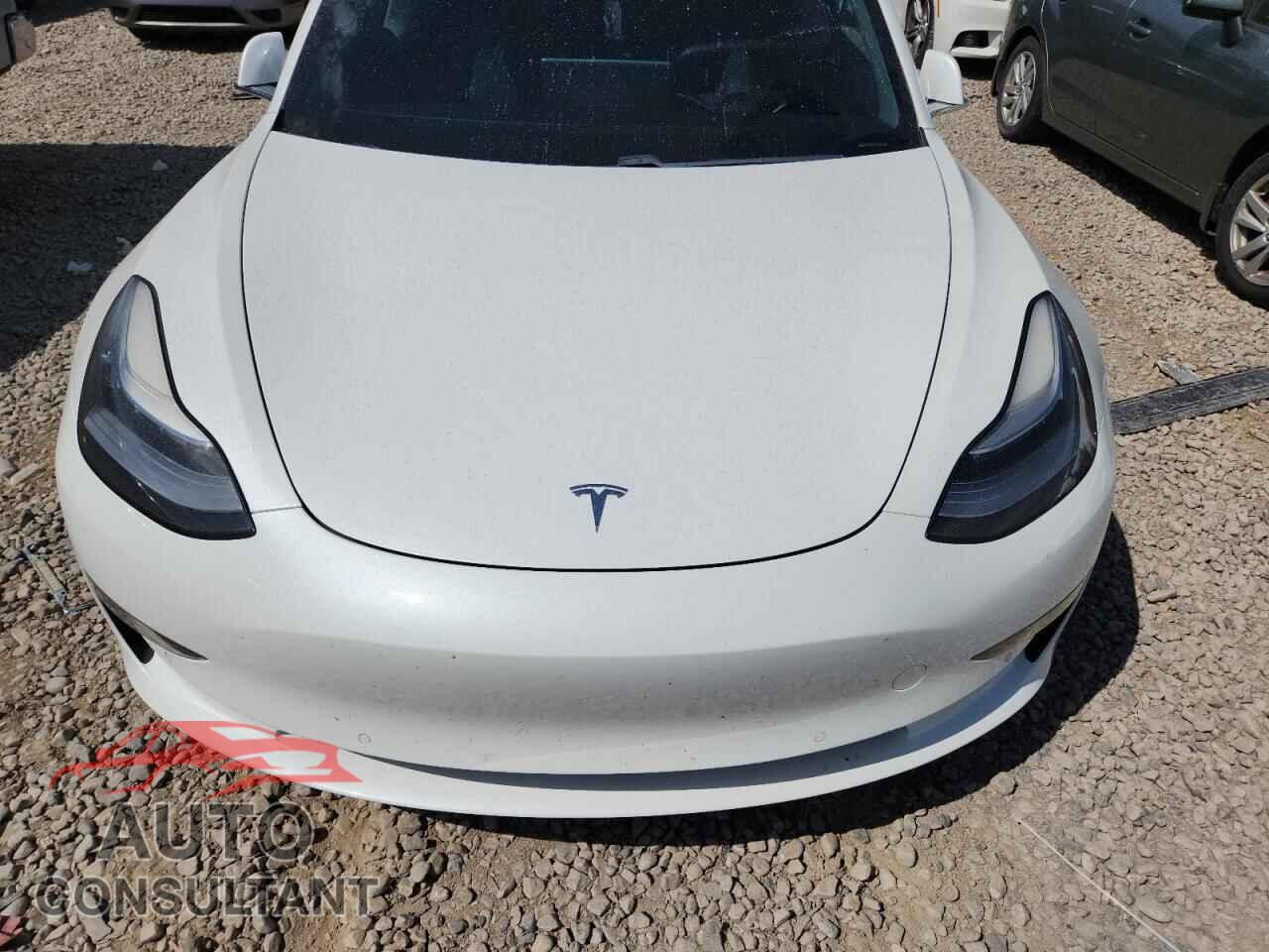 TESLA MODEL 3 2019 - 5YJ3E1EB7KF429493