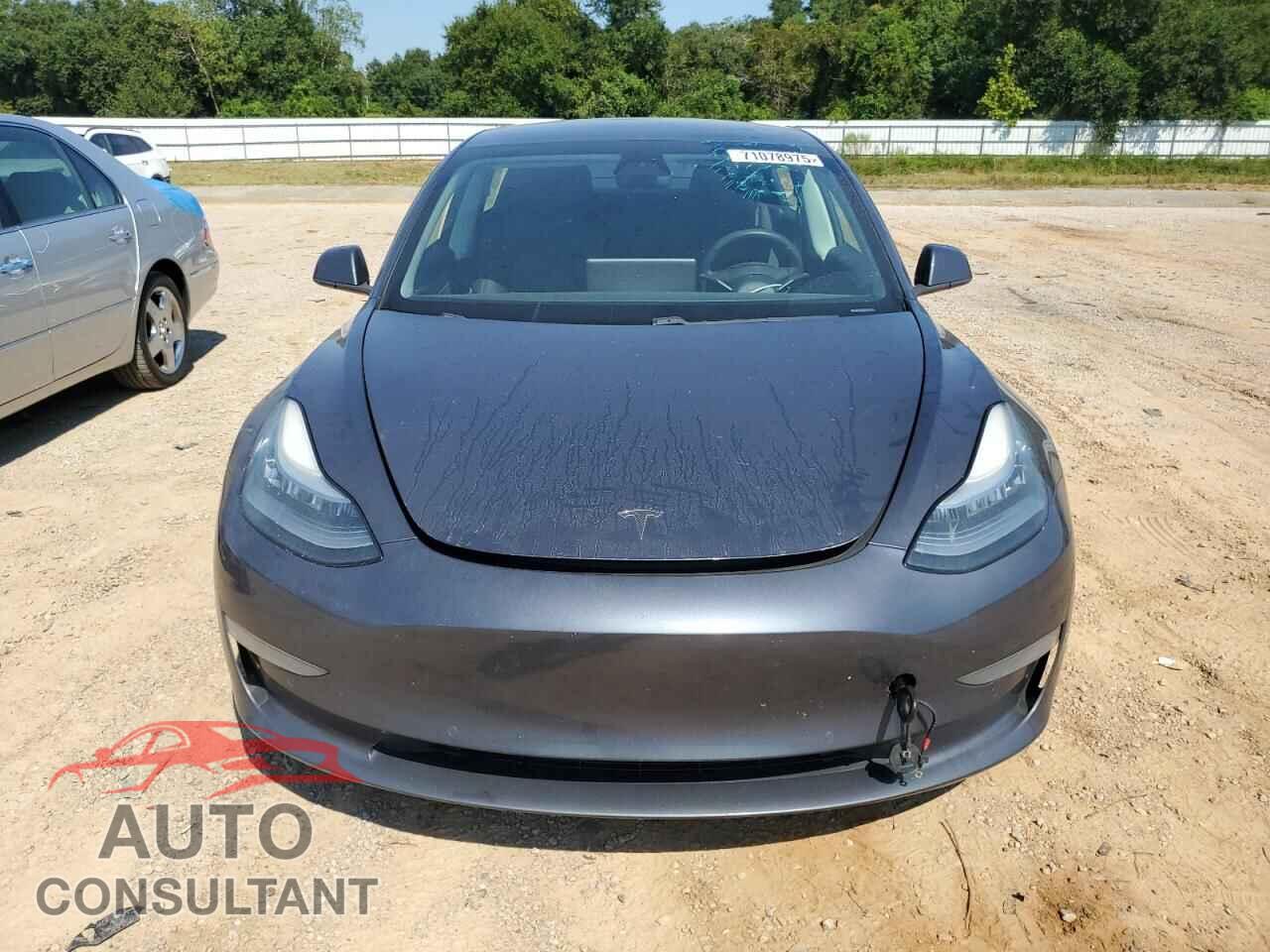TESLA MODEL 3 2019 - 5YJ3E1EB7KF441319