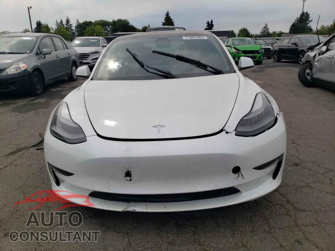 TESLA MODEL 3 2022 - 5YJ3E1EB3NF355011