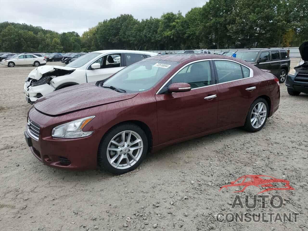 NISSAN MAXIMA 2010 - 1N4AA5AP8AC875374