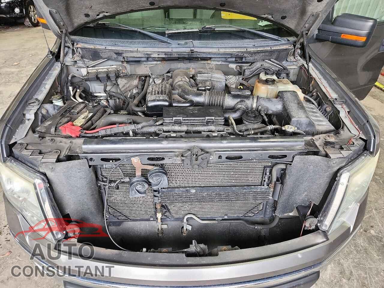 FORD F150 2010 - 1FTFX1EV6AFD60100