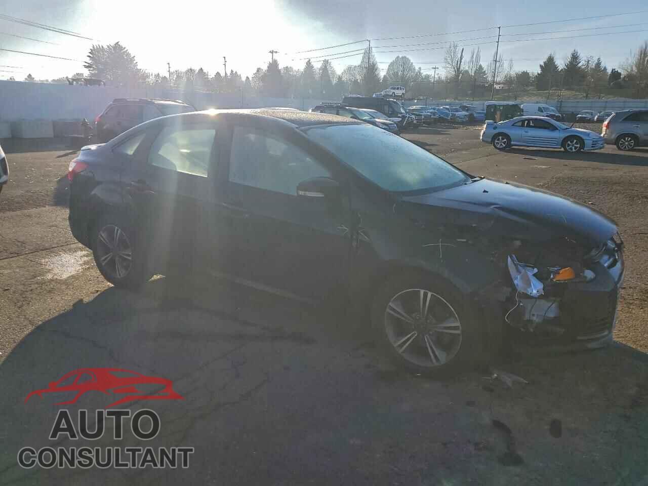 FORD FOCUS 2014 - 1FADP3F29EL248380