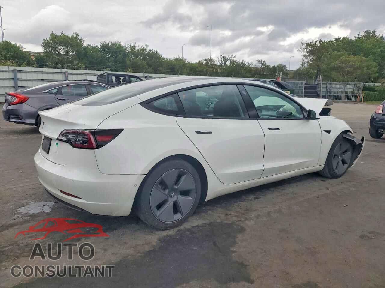TESLA MODEL 3 2021 - 5YJ3E1EA3MF096137
