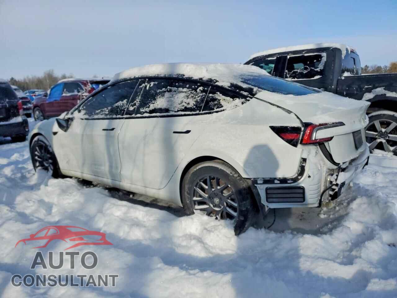 TESLA MODEL 3 2024 - LRW3E7FA8RC263210