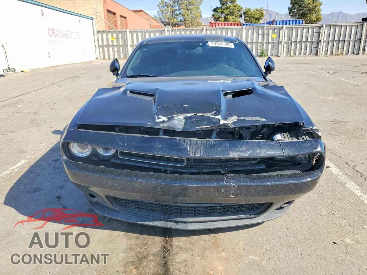 DODGE CHALLENGER 2018 - 2C3CDZAG0JH202307
