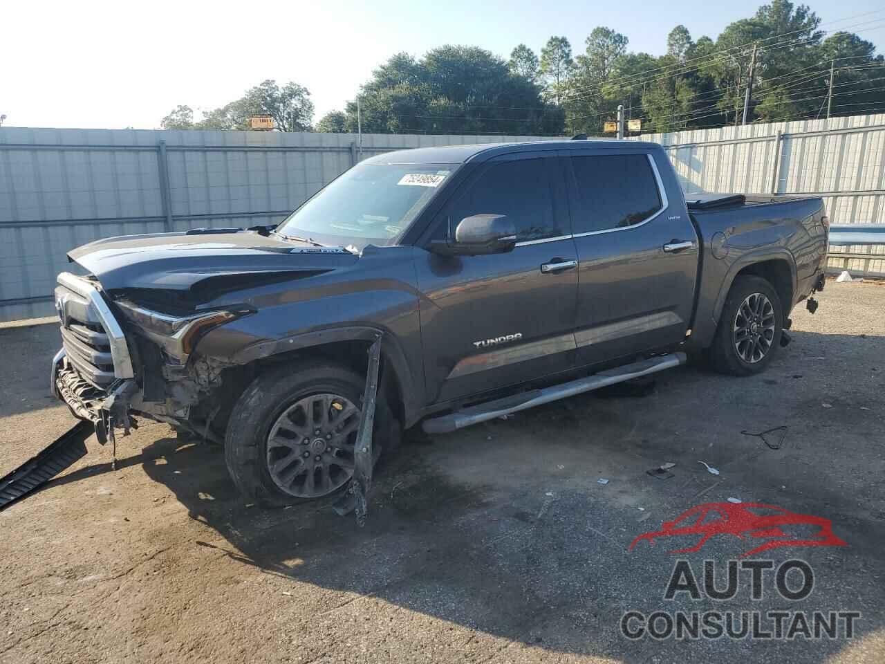 TOYOTA TUNDRA 2023 - 5TFJC5DB1PX019646