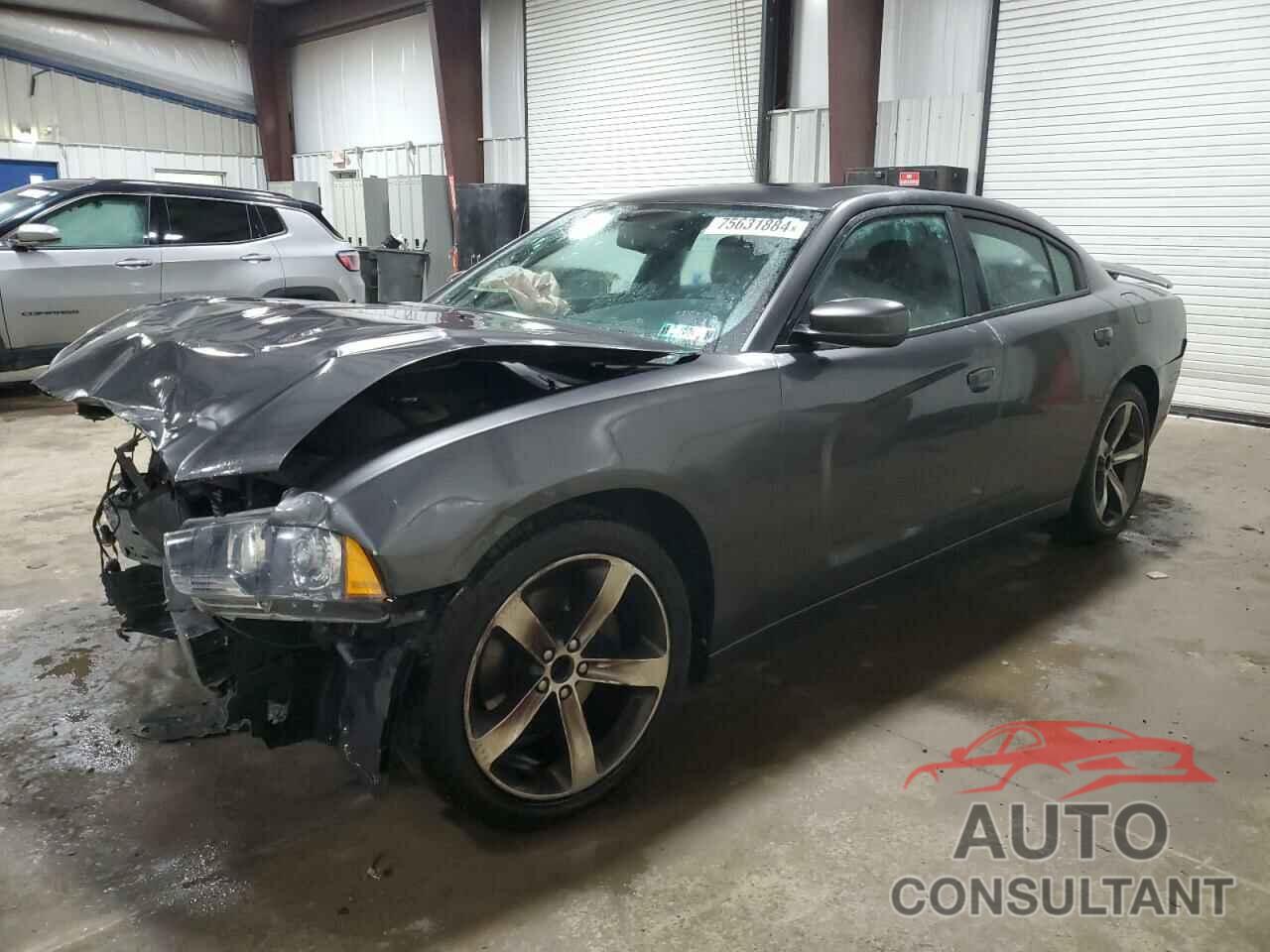 DODGE CHARGER 2014 - 2C3CDXCTXEH323513