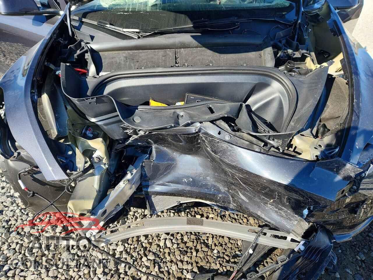 TESLA MODEL Y 2024 - 7SAYGAEE6RF165156