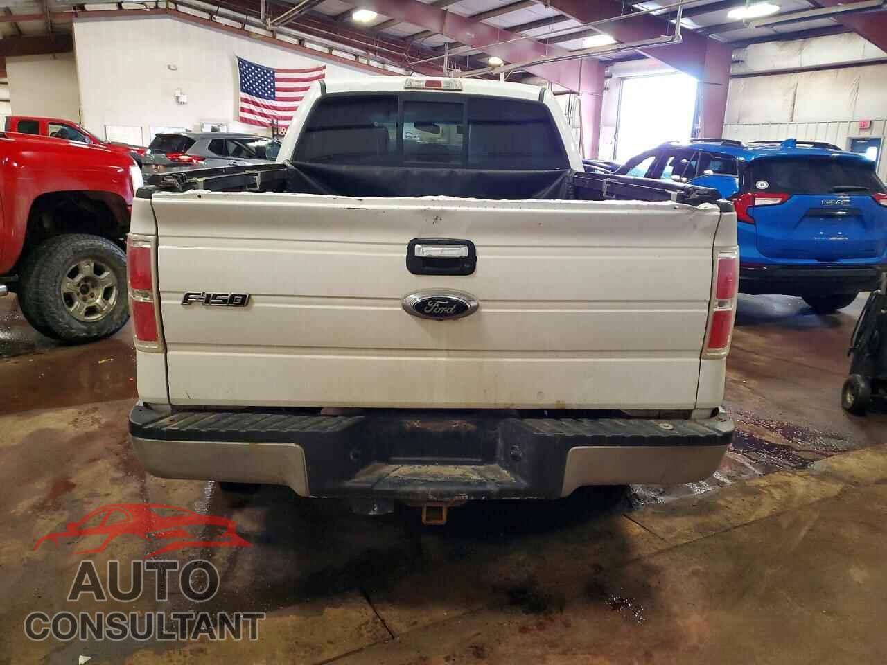 FORD F-150 2013 - 1FTFW1EF3DFD06561