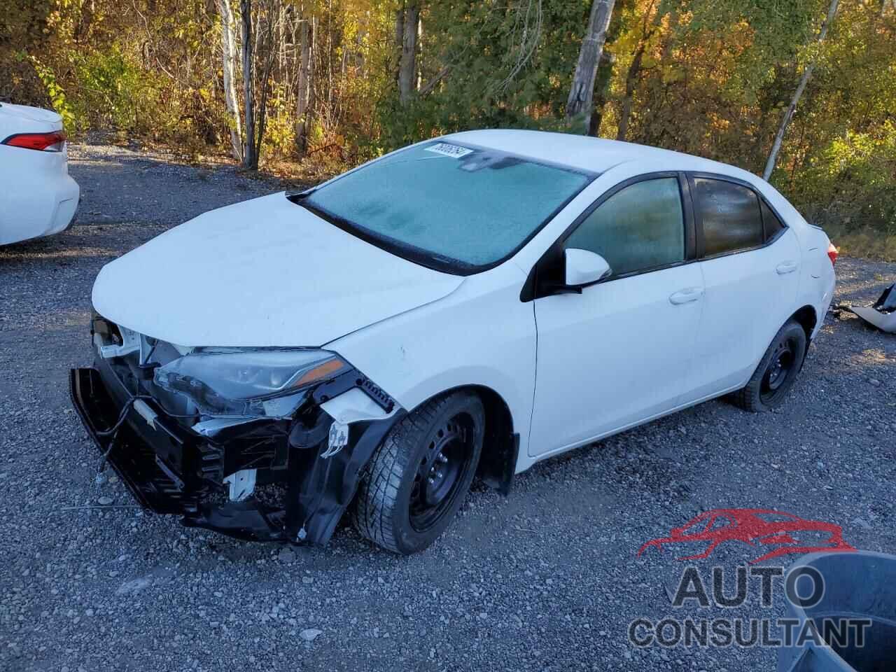 TOYOTA COROLLA 2019 - 2T1BURHE5KC169716