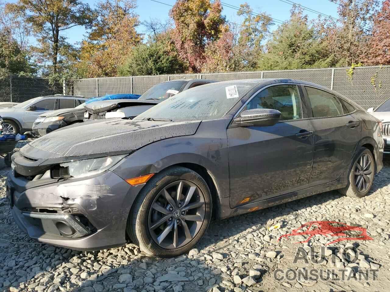 HONDA CIVIC 2019 - 2HGFC1F71KH651259