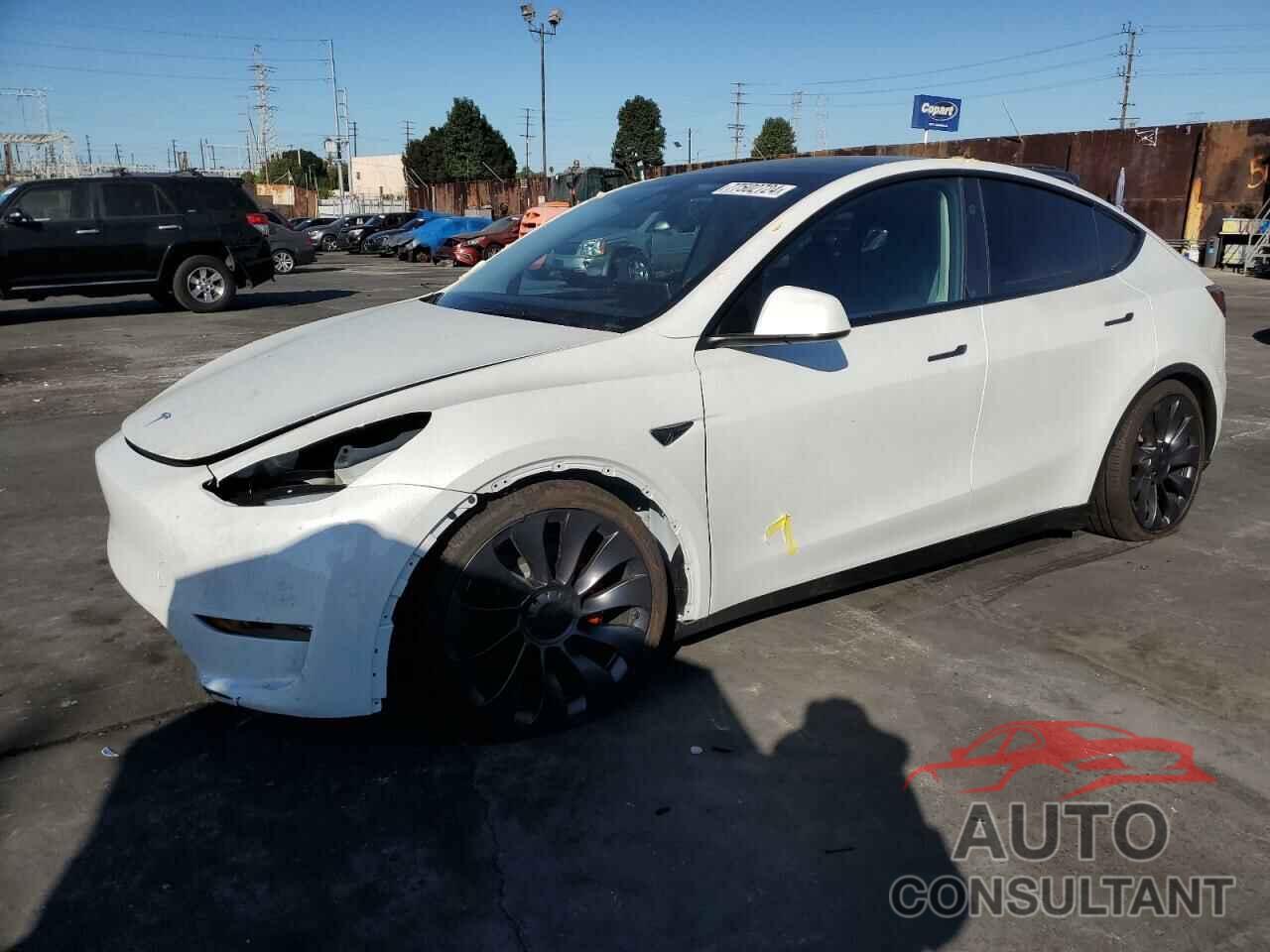 TESLA MODEL Y 2024 - 7SAYGDEF1RF113122