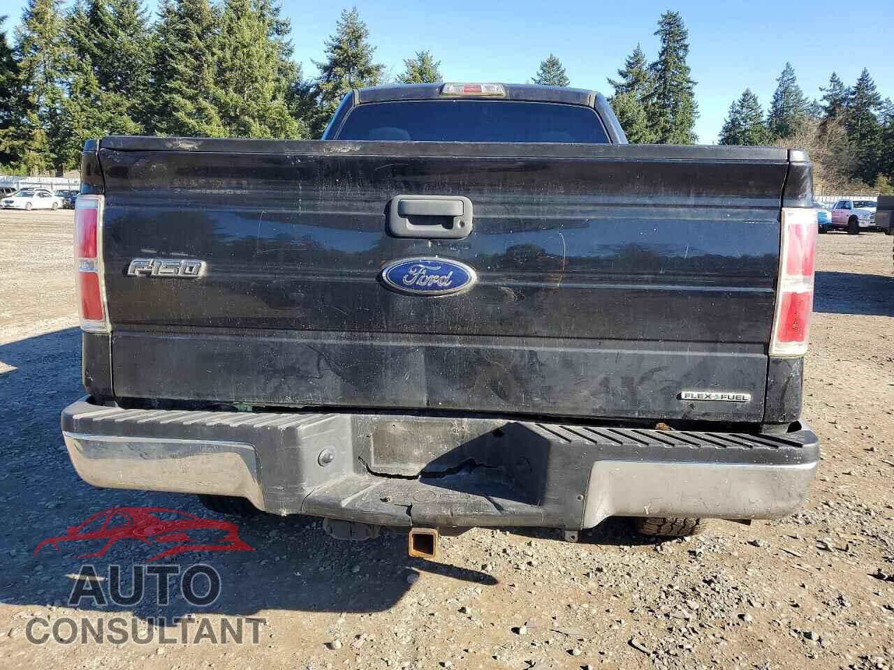 FORD F-150 2013 - 1FTFX1EF1DFD56629