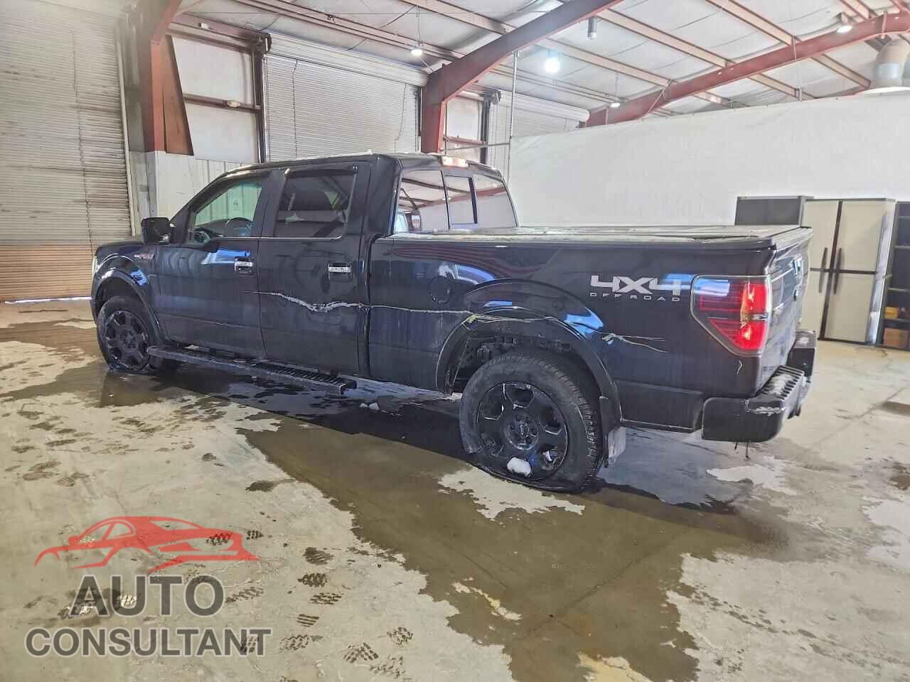 FORD F-150 2011 - 1FTFW1EF0BFA50697