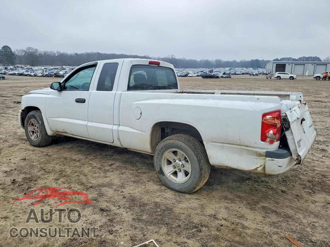 DODGE DAKOTA 2011 - 1D7RE2BK7BS656065