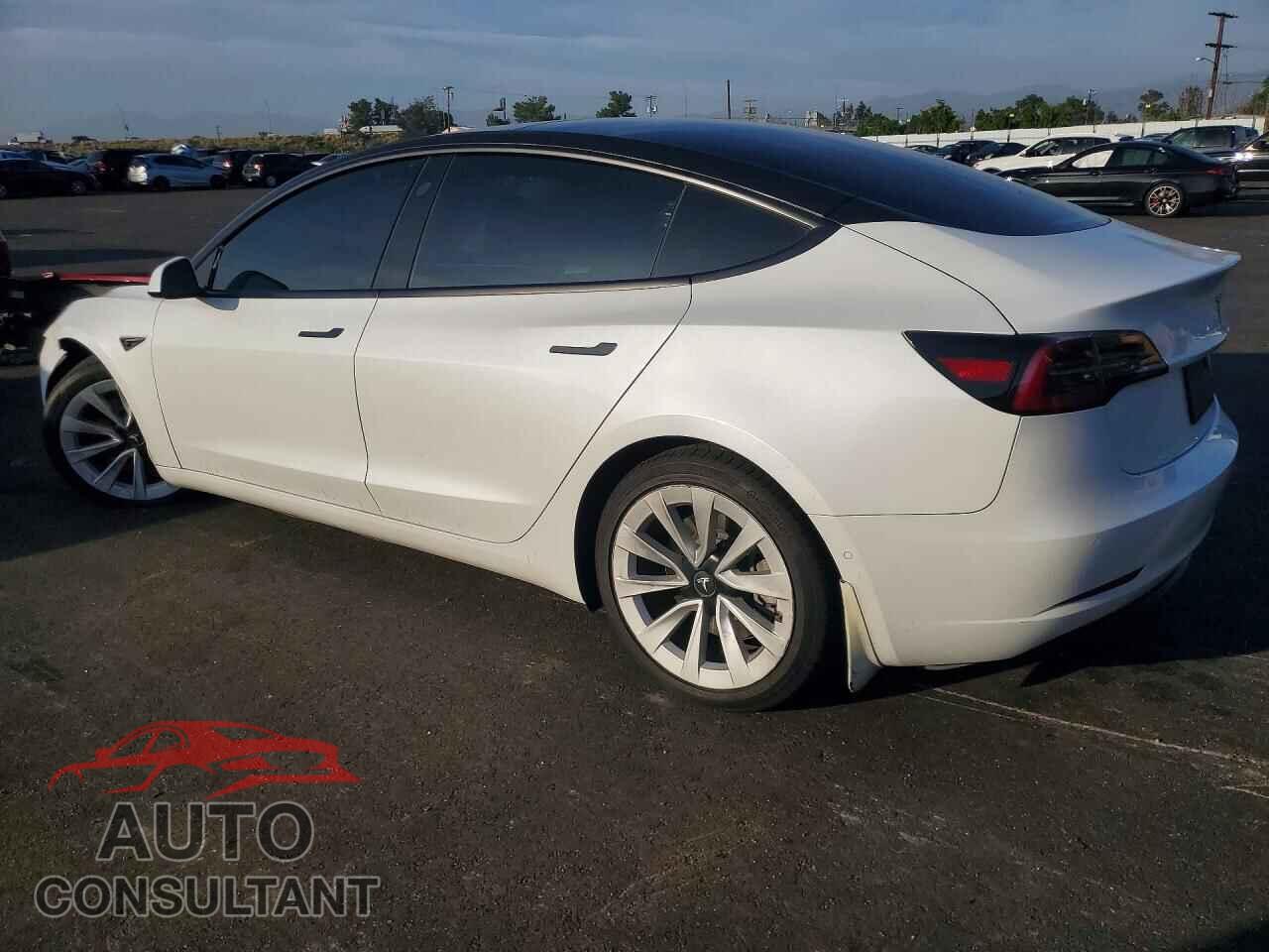 TESLA MODEL 3 2021 - 5YJ3E1EB5MF071538