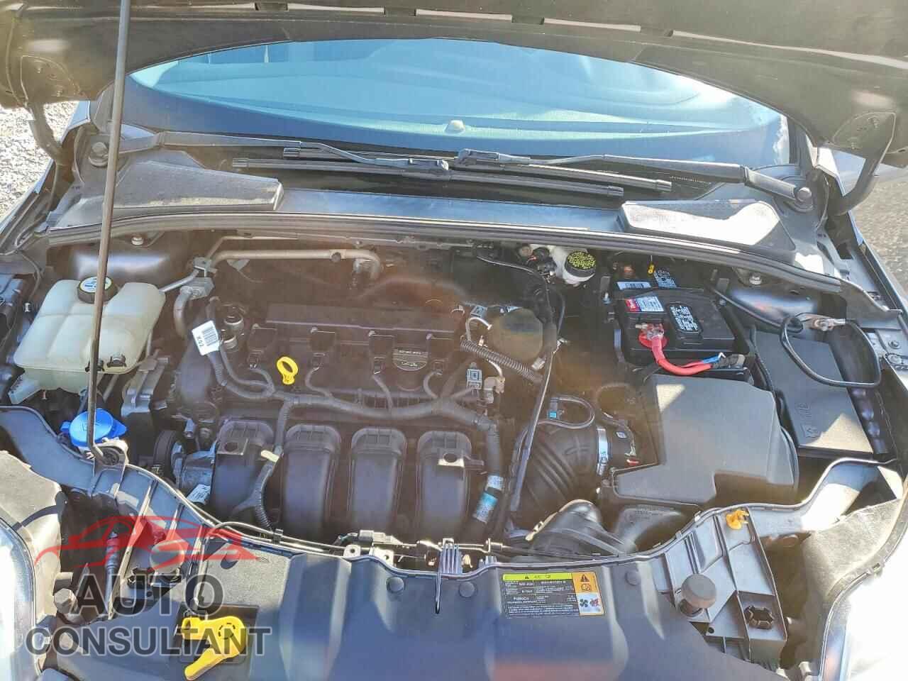 FORD FOCUS 2012 - 1FAHP3F25CL380891