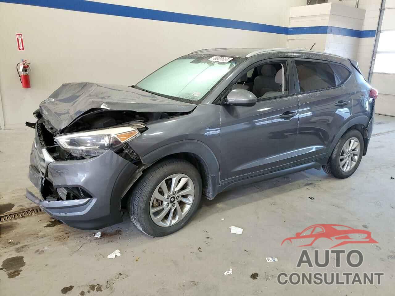 HYUNDAI TUCSON 2016 - KM8J33A42GU025592