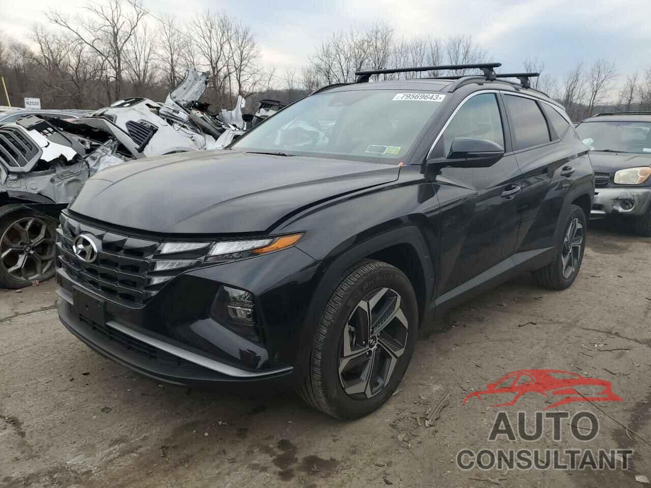 HYUNDAI TUCSON 2023 - KM8JFCA11PU094707