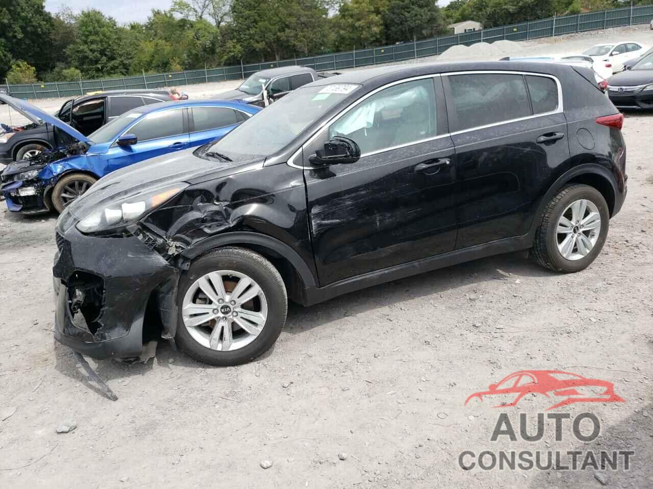 KIA SPORTAGE 2017 - KNDPM3AC6H7114603