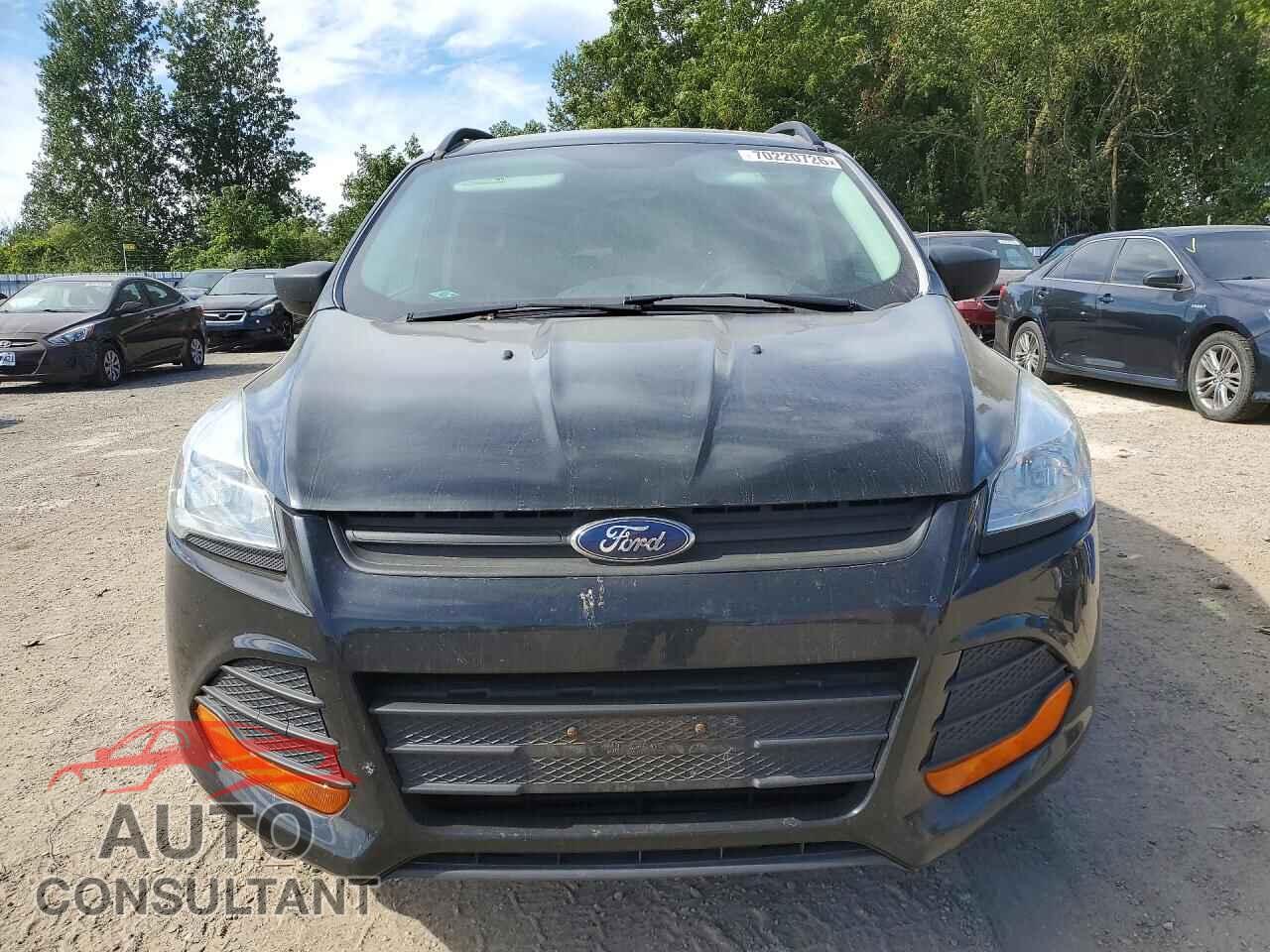 FORD ESCAPE 2016 - 1FMCU0F78GUC69142