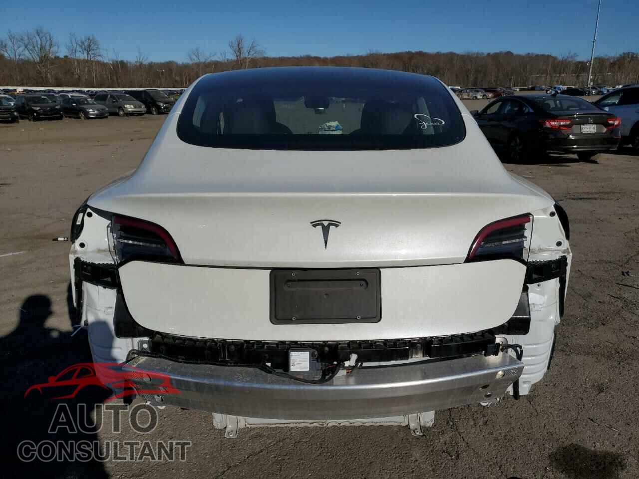 TESLA MODEL 3 2020 - 5YJ3E1EA8LF806552