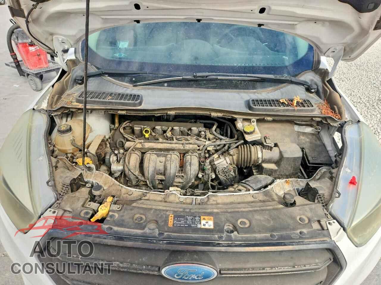 FORD ESCAPE 2017 - 1FMCU0F77HUB42299