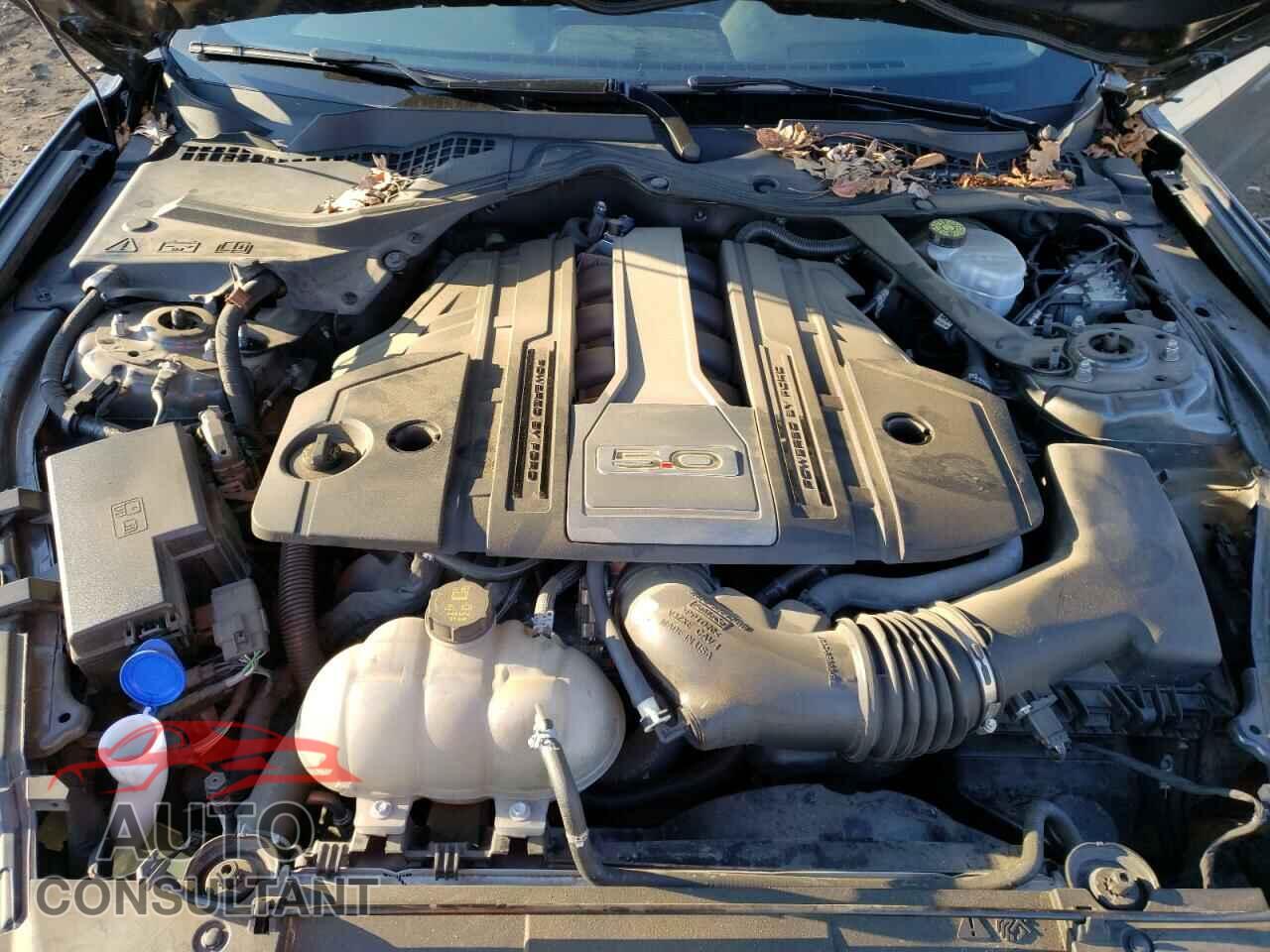 FORD MUSTANG 2020 - 1FA6P8CF9L5141635