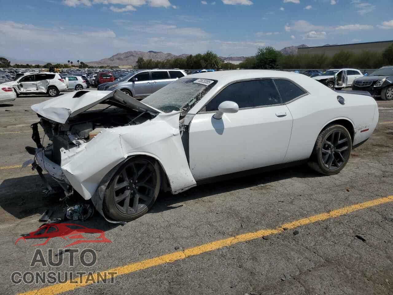 DODGE CHALLENGER 2019 - 2C3CDZAG9KH680081