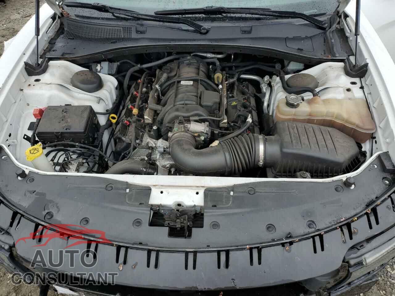 DODGE CHARGER 2021 - 2C3CDXCT7MH584161
