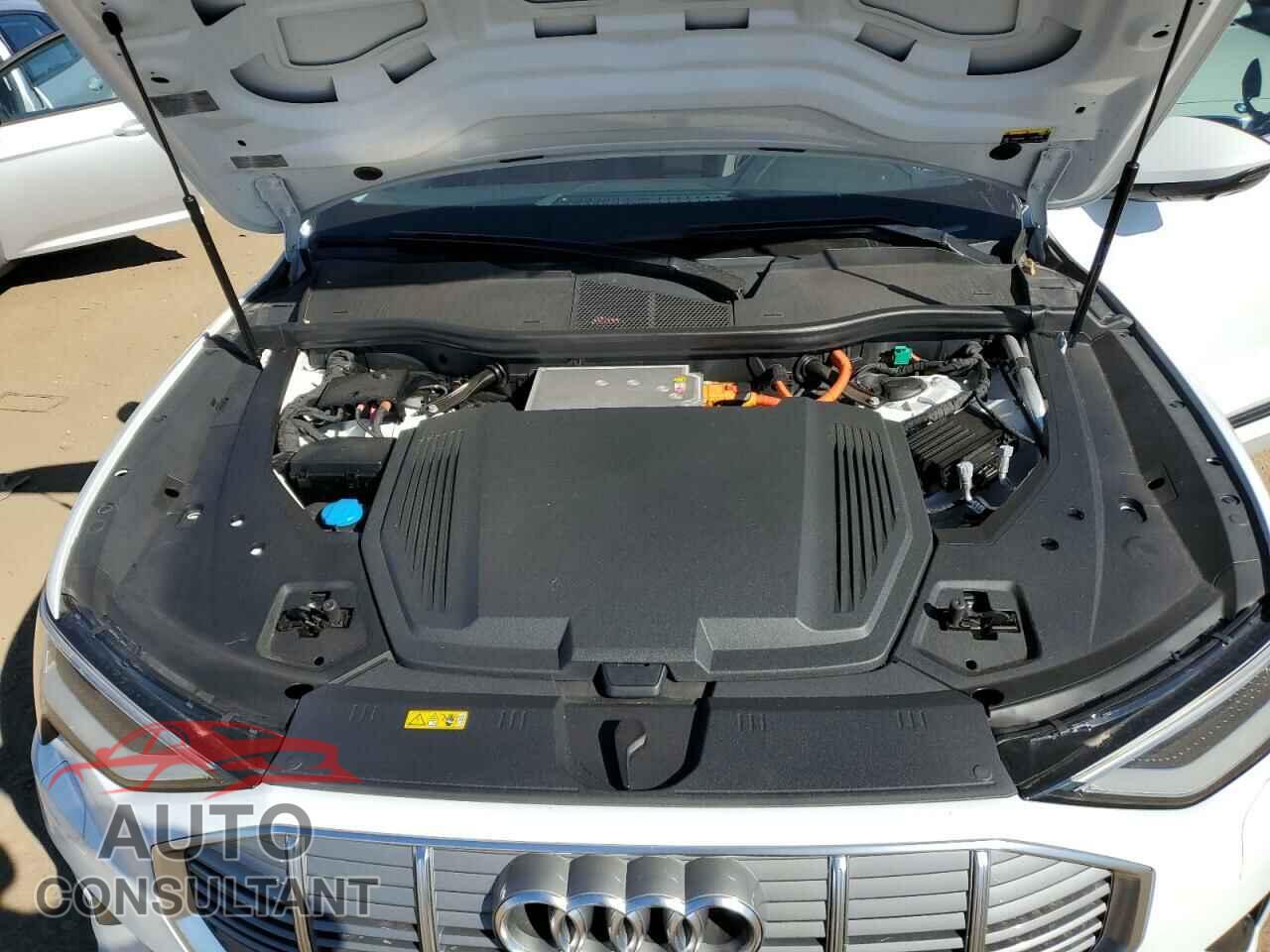AUDI E-TRON 2019 - WA1LAAGE0KB021496