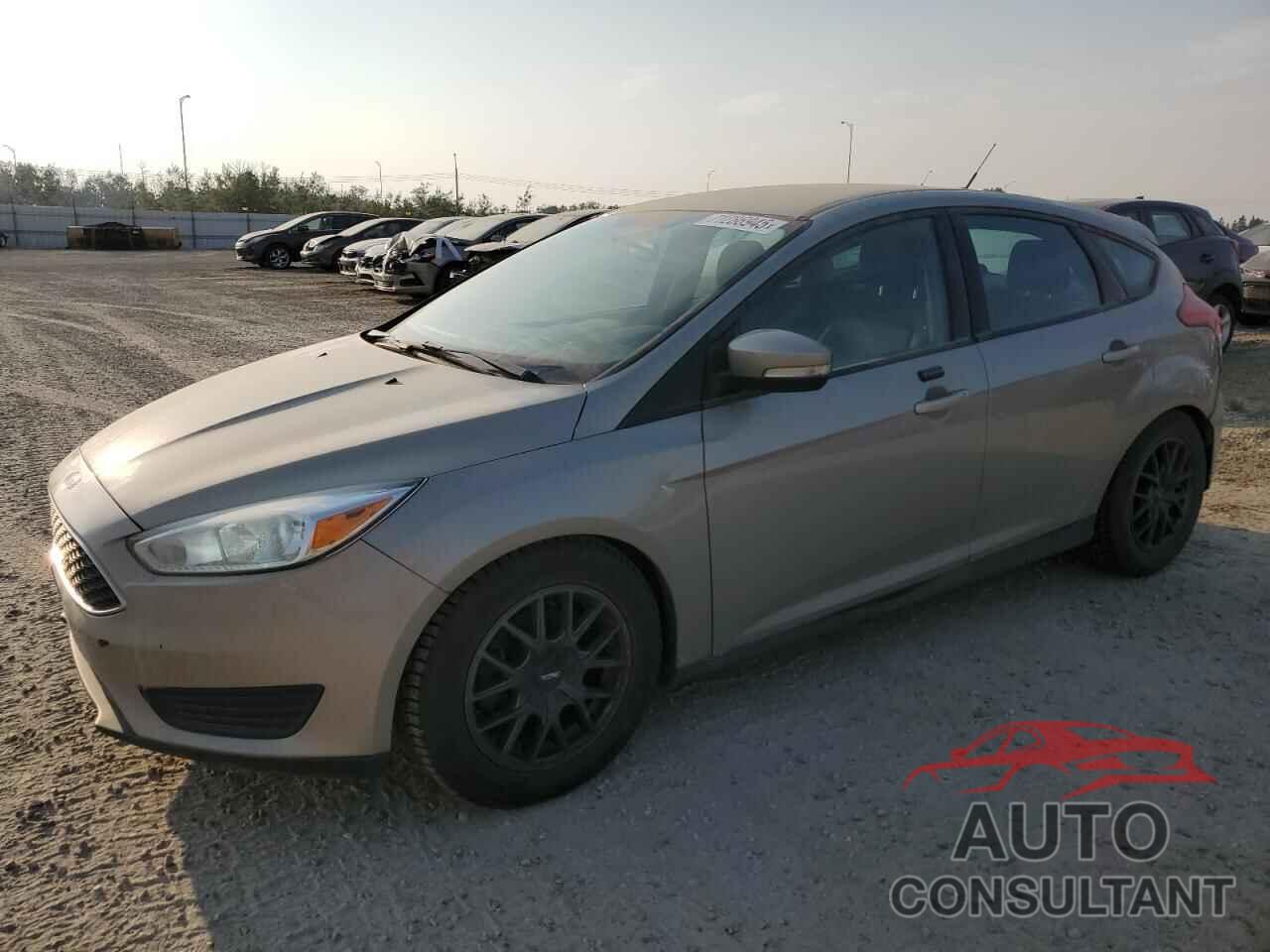 FORD FOCUS 2016 - 1FADP3K22GL312798
