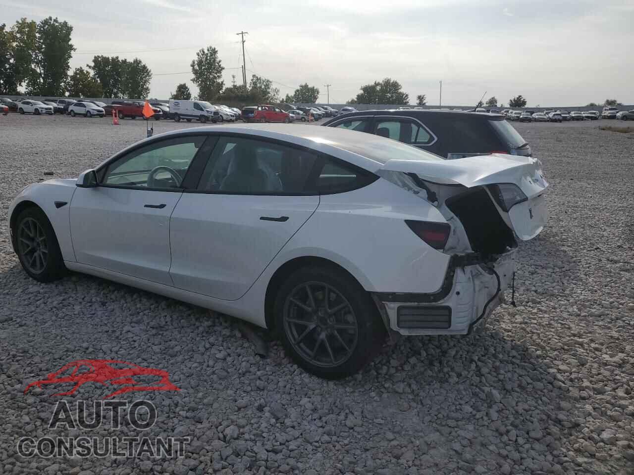 TESLA MODEL 3 2021 - 5YJ3E1EB9MF869637