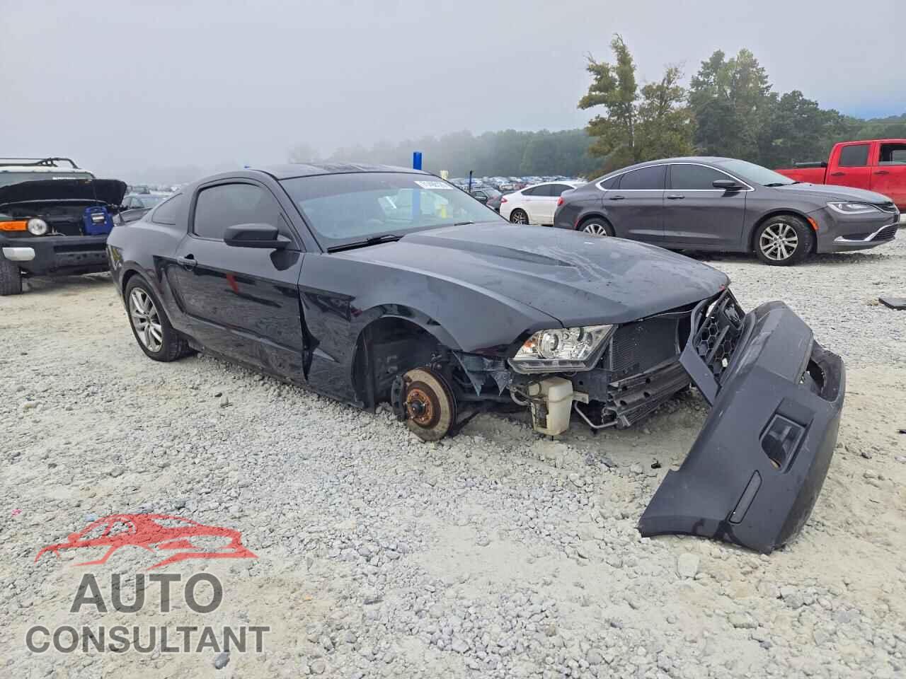 FORD MUSTANG 2011 - 1ZVBP8AM4B5155643