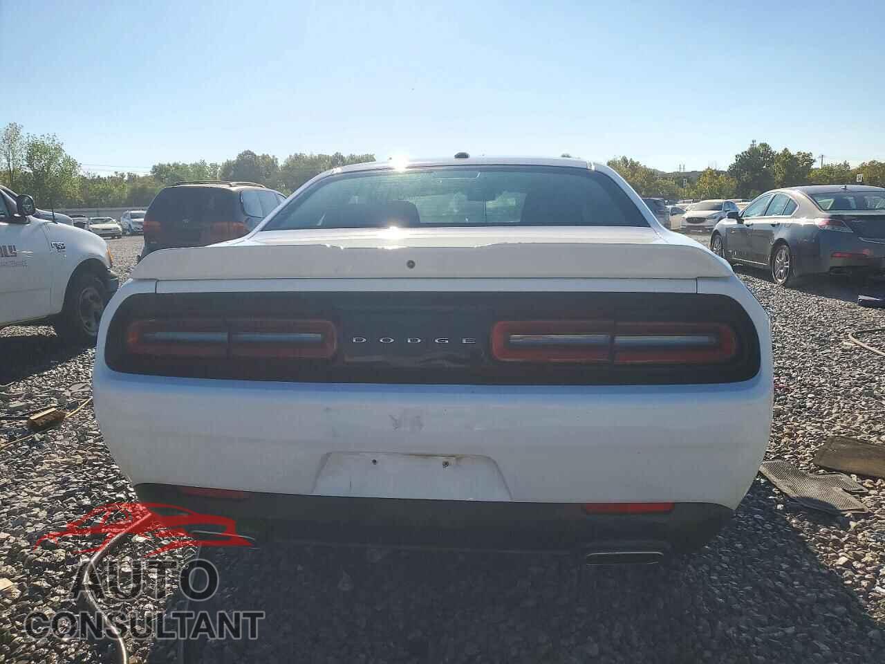 DODGE CHALLENGER 2019 - 2C3CDZAG9KH620530