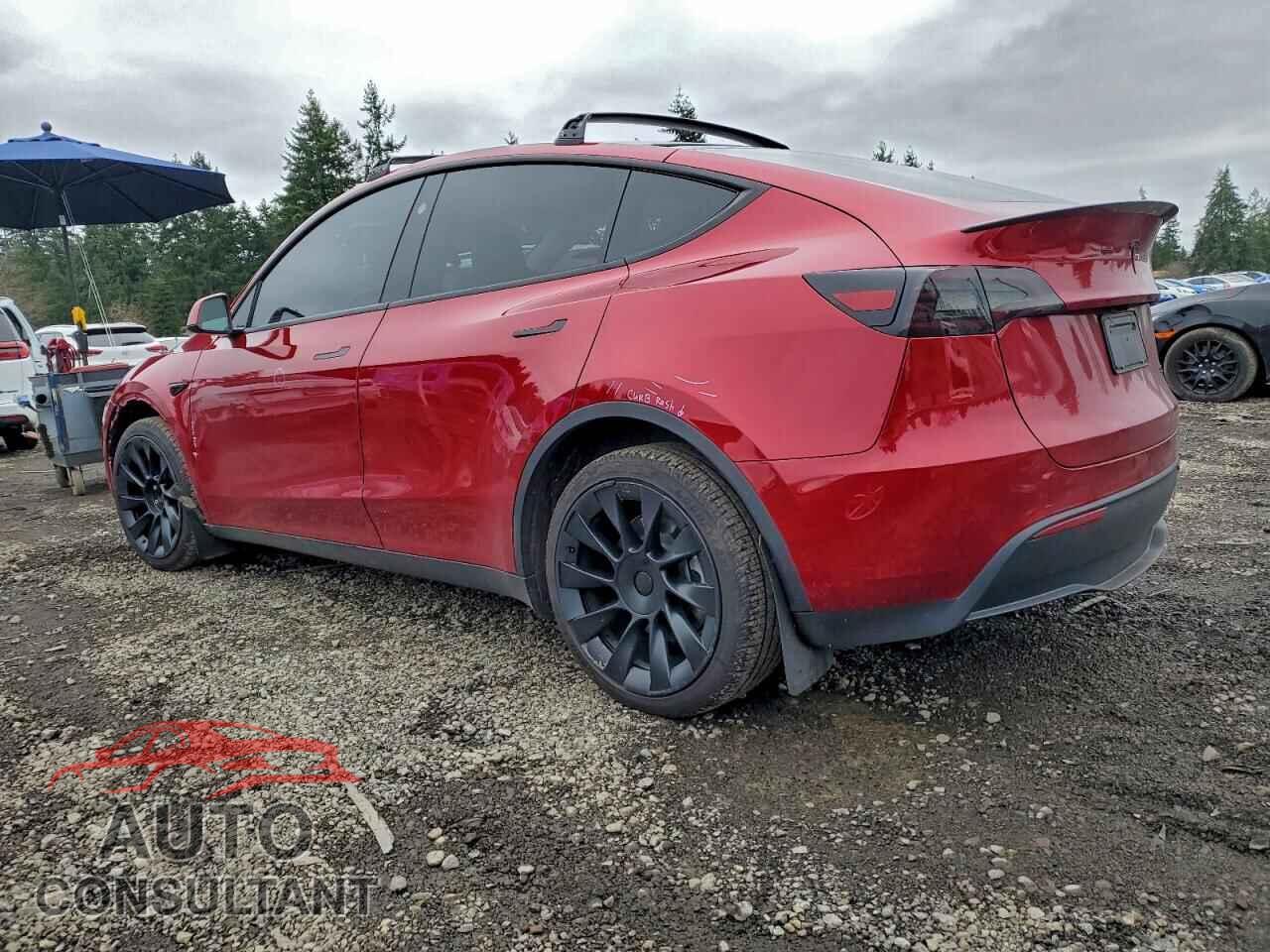 TESLA MODEL Y 2024 - 7SAYGDEE5RF066393