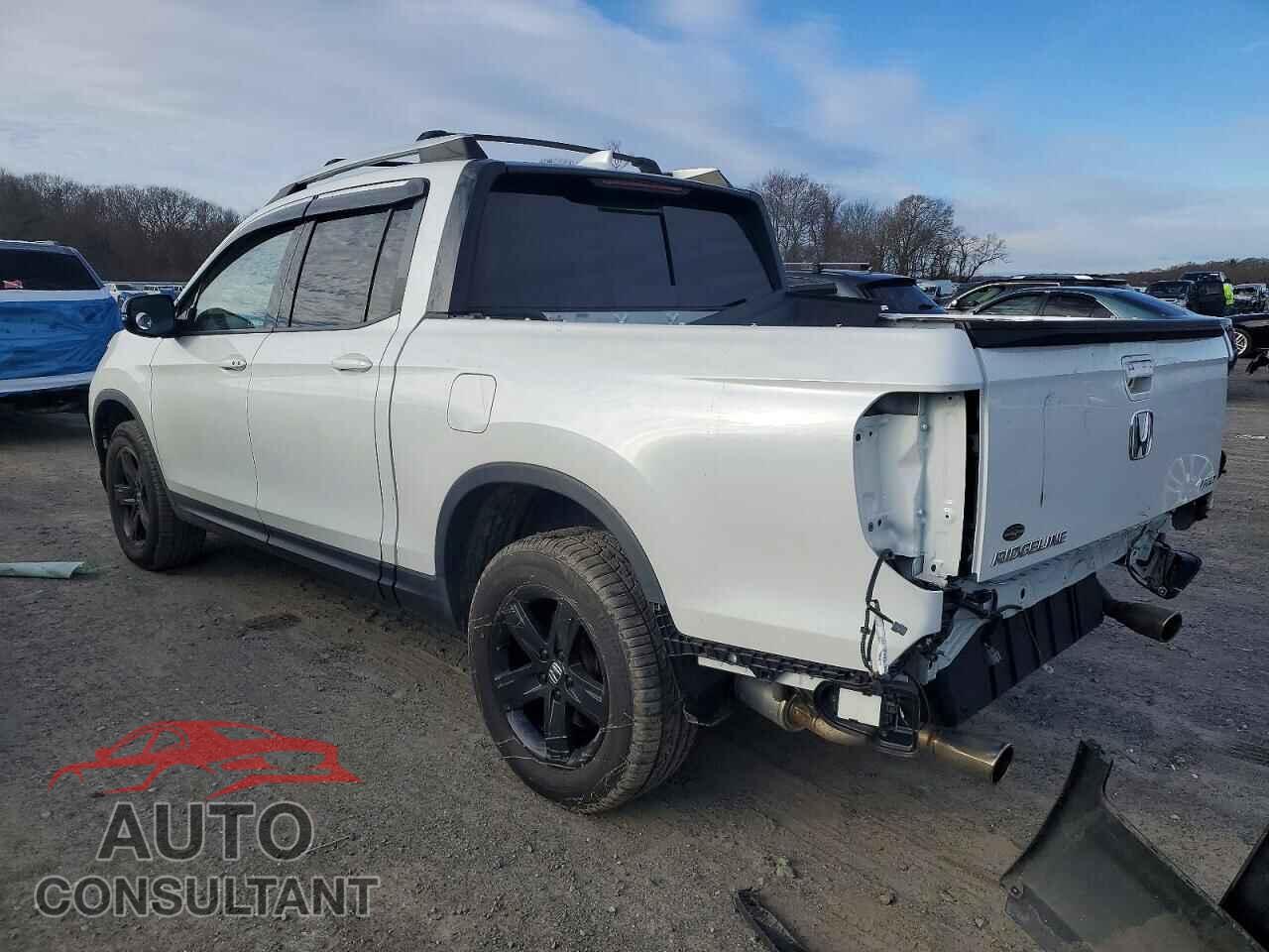 HONDA RIDGELINE 2021 - 5FPYK3F85MB020240