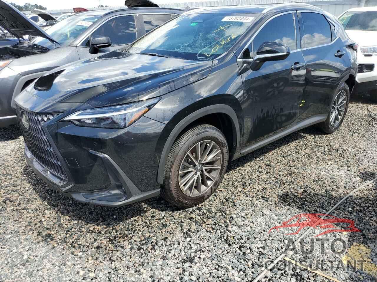 LEXUS NX 350 PRE 2024 - 2T2GGCEZ0RC054321