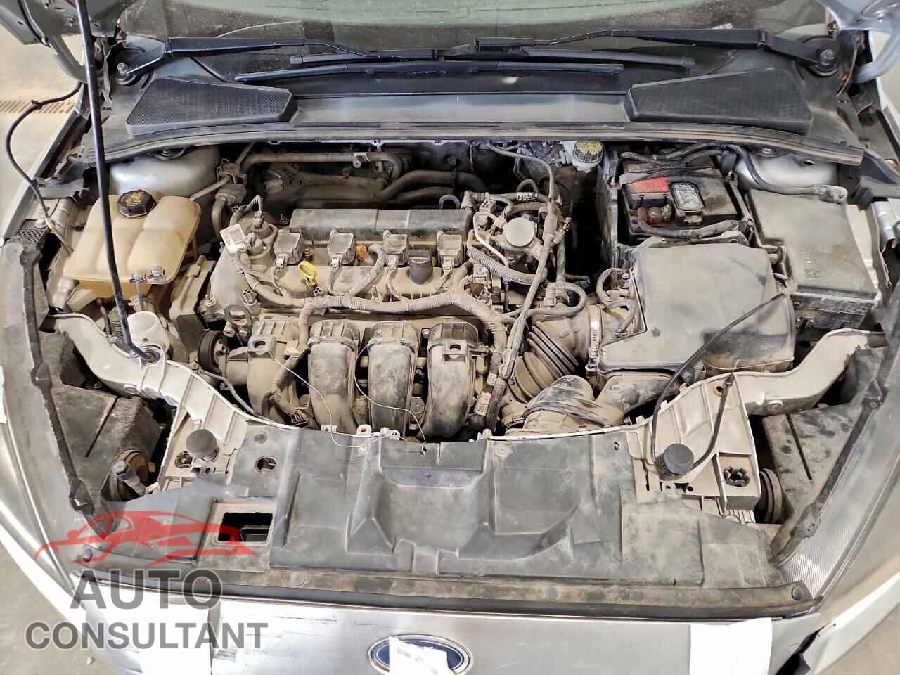 FORD FOCUS 2016 - 1FADP3F27GL398779