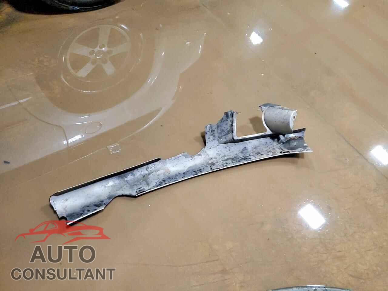 DODGE CARAVAN 2010 - 2D4RN5D10AR496792