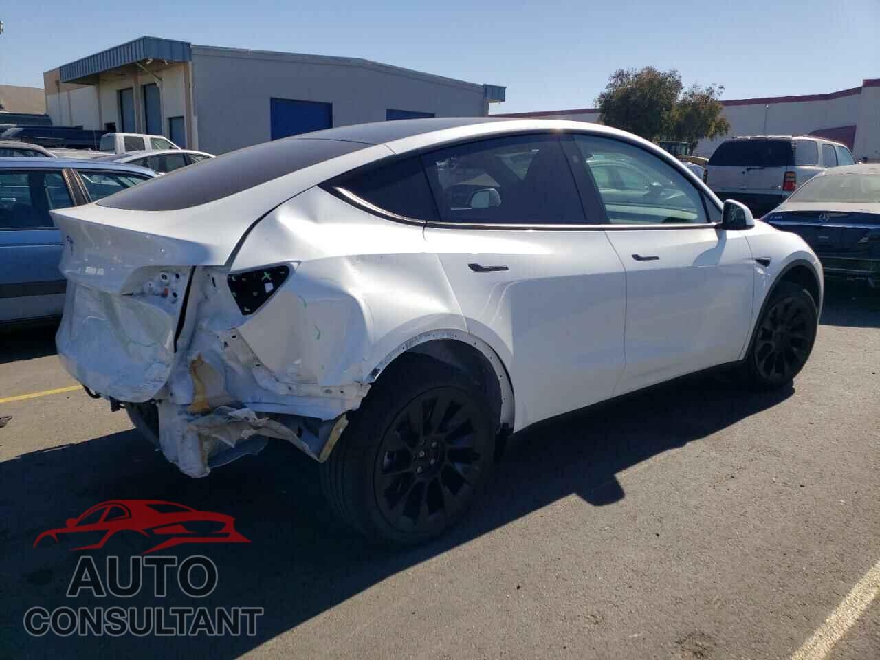 TESLA MODEL Y 2024 - 7SAYGDED5RF080253