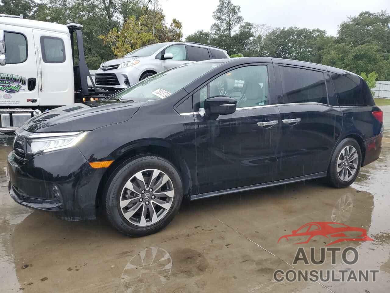 HONDA All Models 2022 - 5FNRL6H70NB041868
