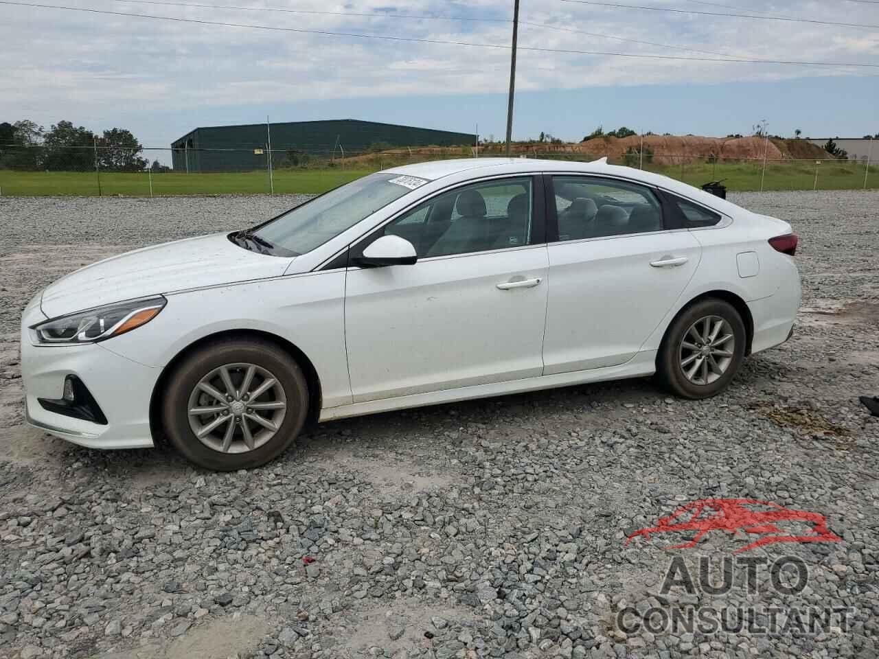 HYUNDAI SONATA 2019 - 5NPE24AF4KH772369