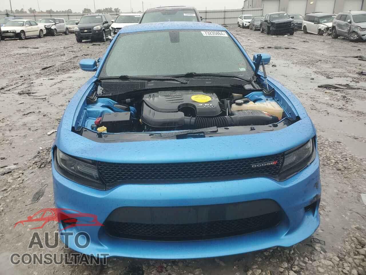 DODGE CHARGER 2019 - 2C3CDXHGXKH519913